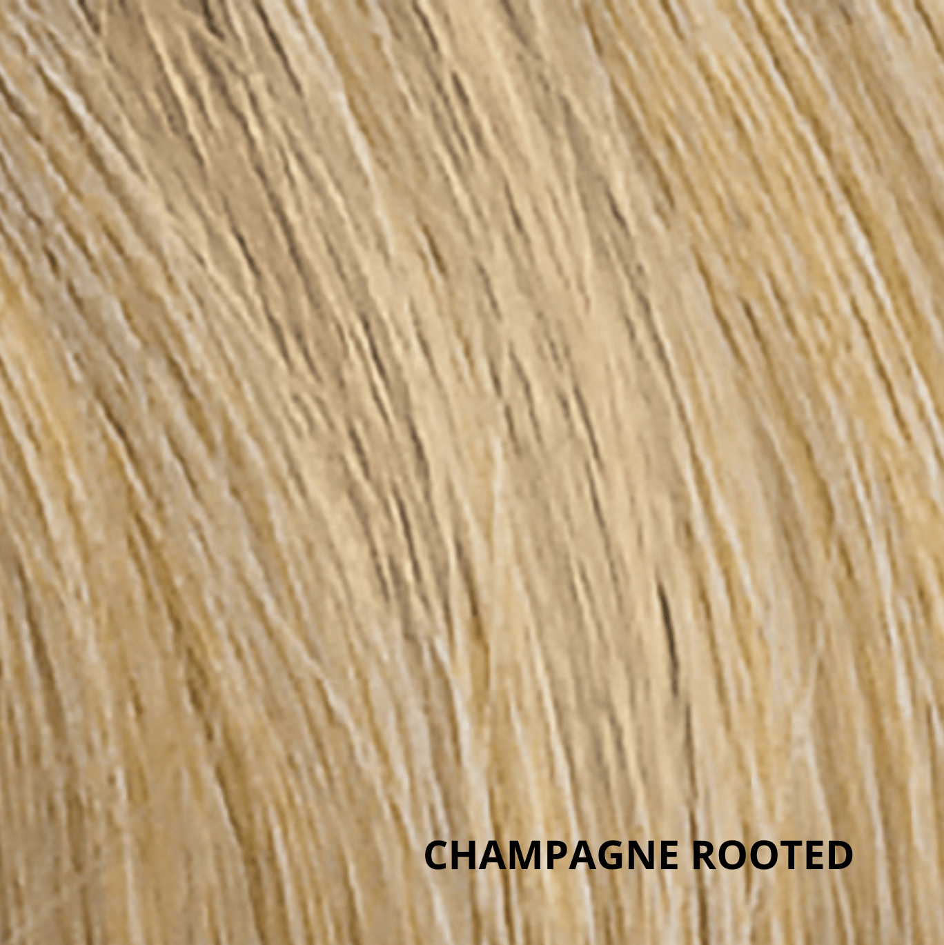 Champagne rooted