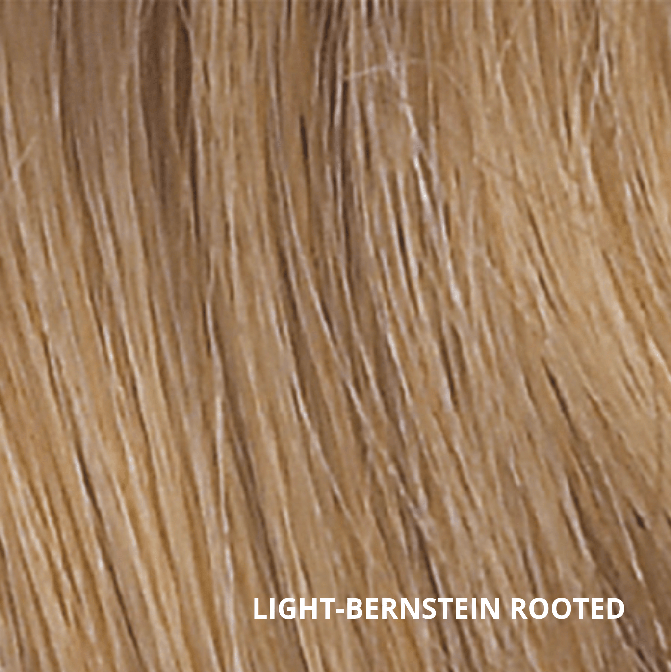 Light bernstein rooted