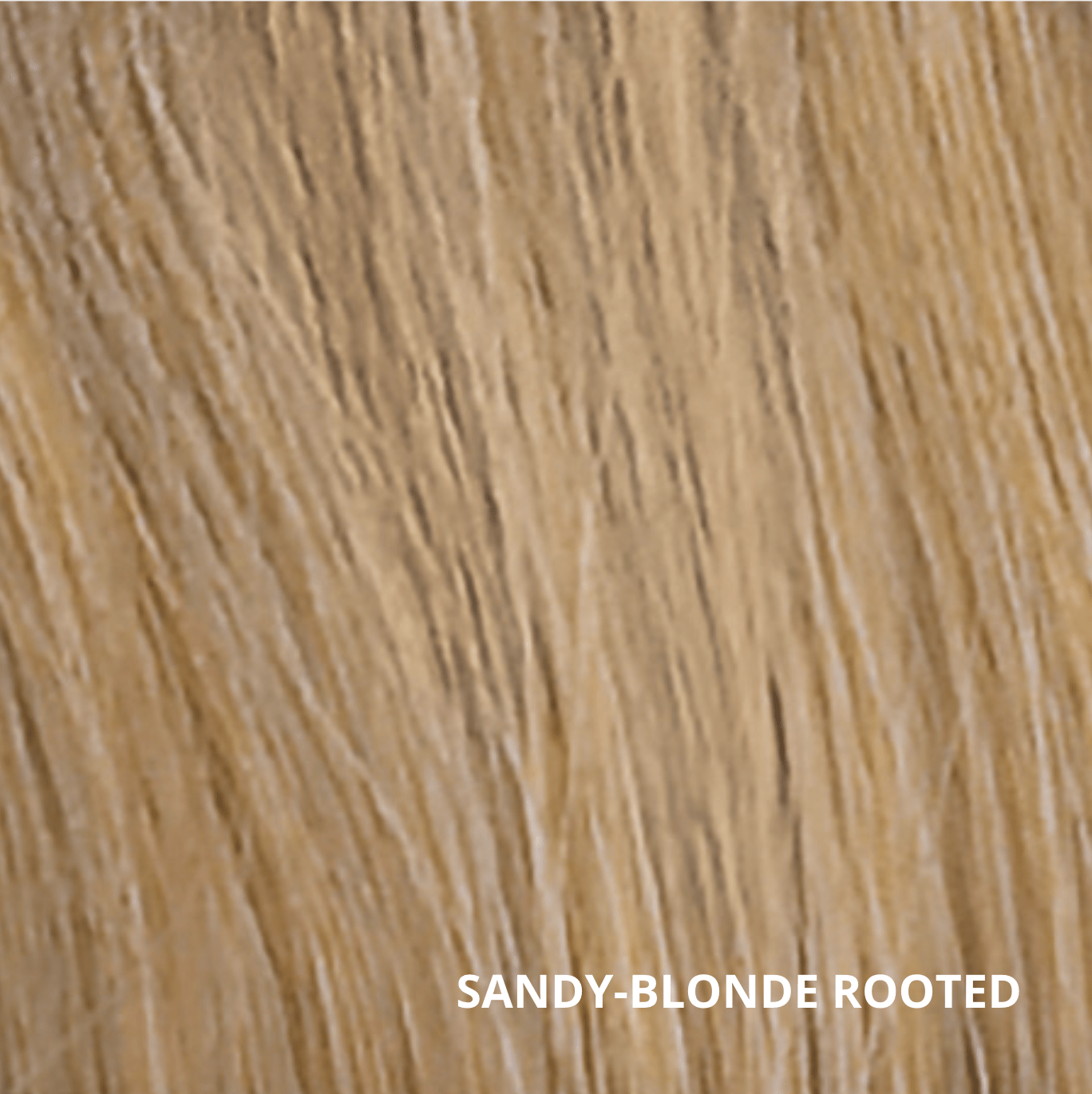 sandyblonde rooted