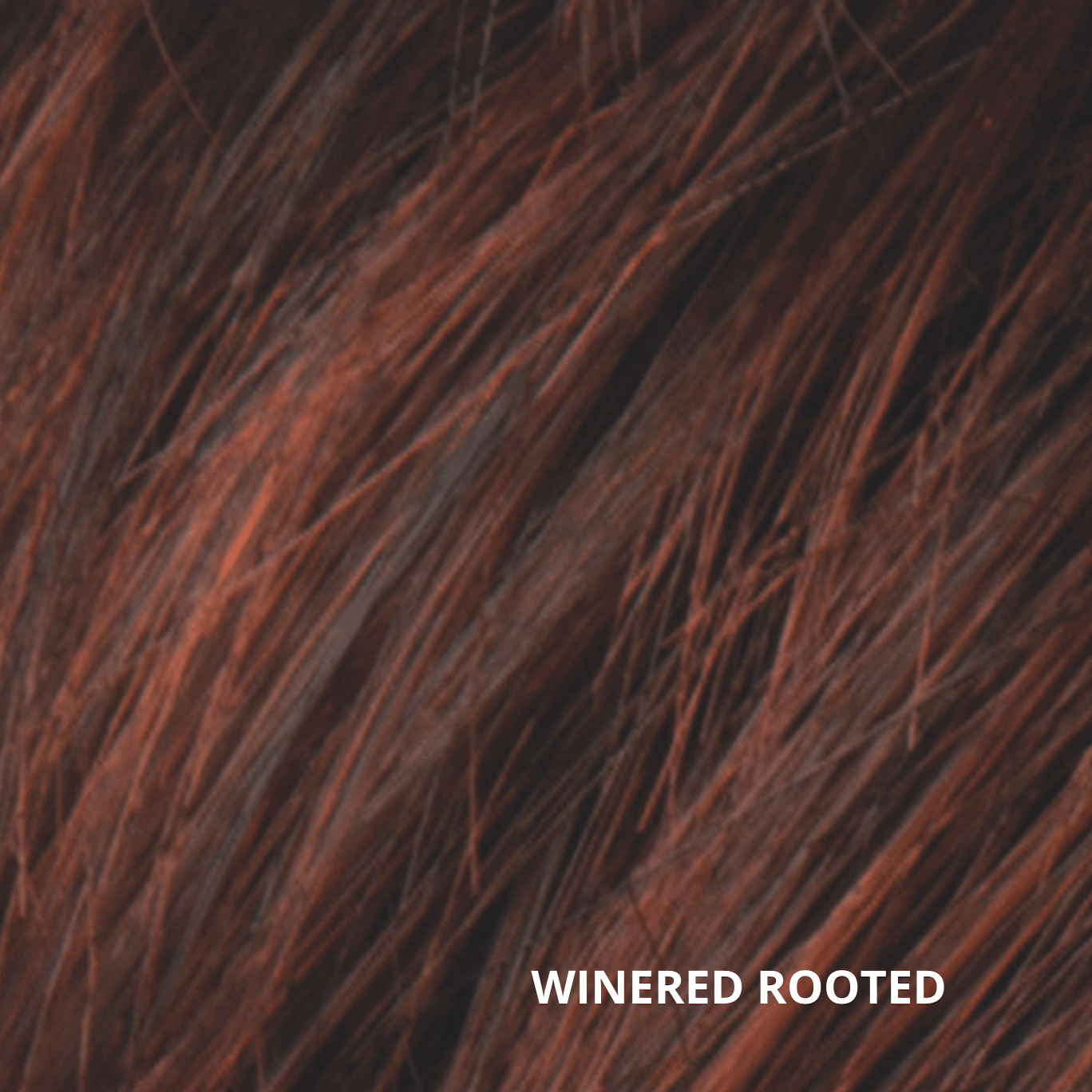 Winered rooted